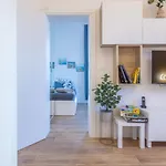 Apartmán Guesthost - Casa Daimo Exhibition Area!