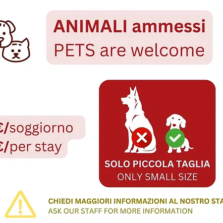 Apartman Guesthost - Casa Daimo Exhibition Area! *